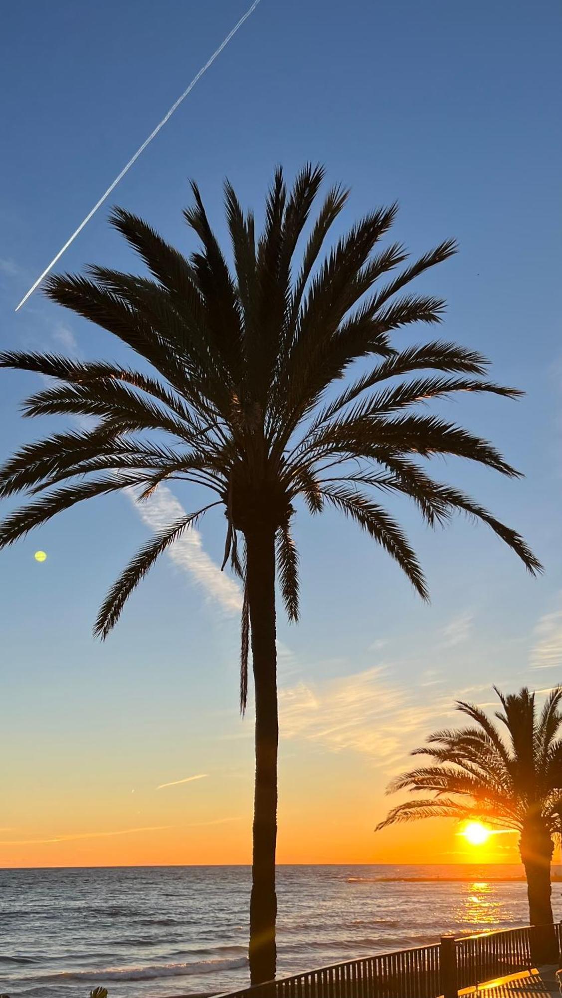 Apartamento Al Parque Marbella, Cerca De Mar Y Centro De Marbella Dış mekan fotoğraf