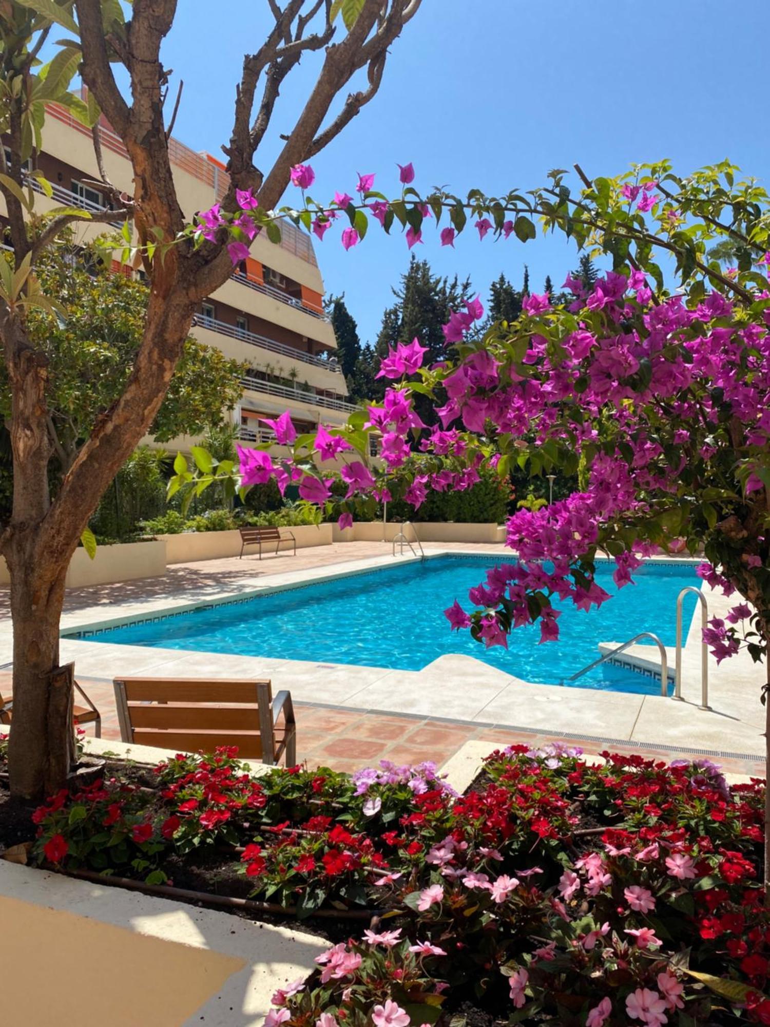 Apartamento Al Parque Marbella, Cerca De Mar Y Centro De Marbella Dış mekan fotoğraf